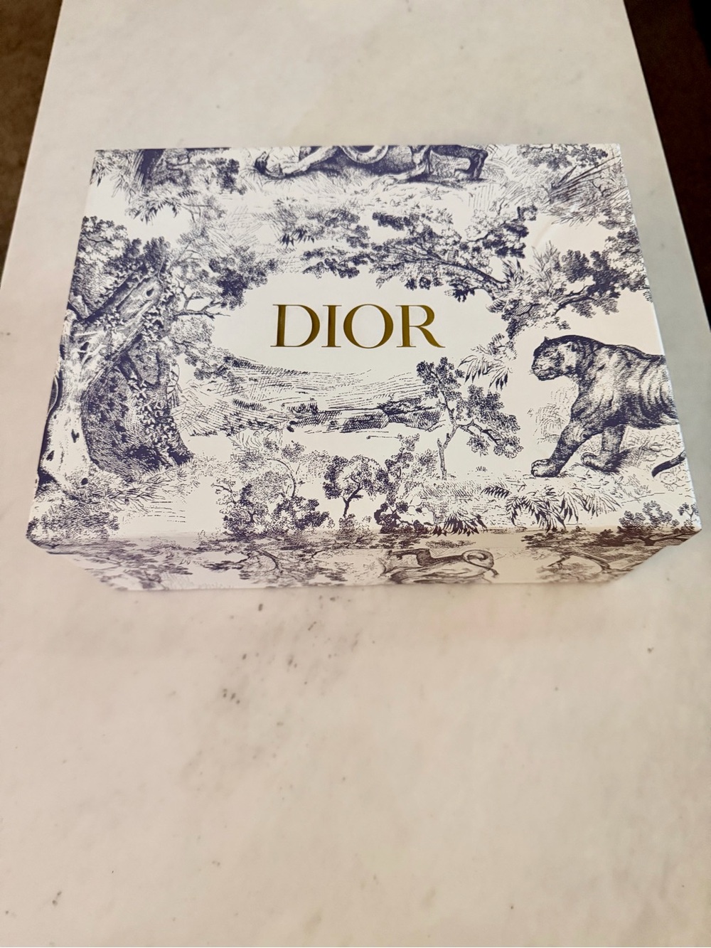 Dior Purse Box